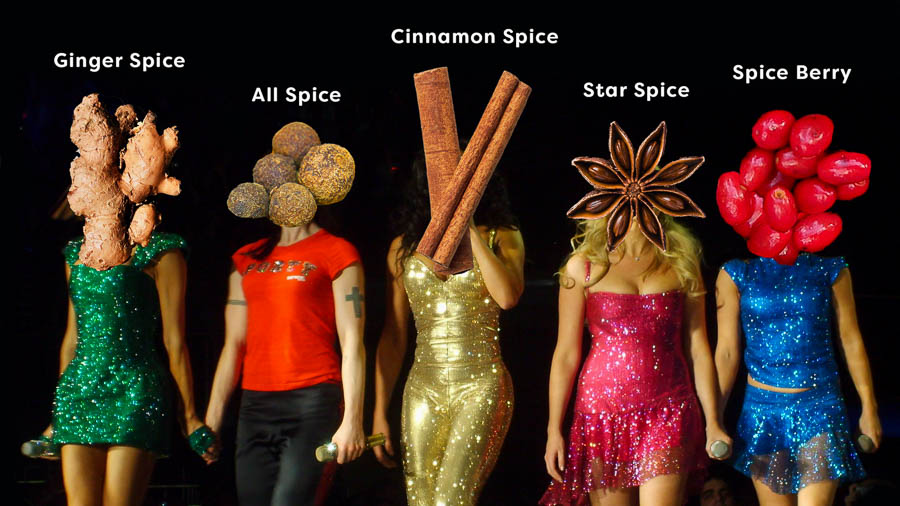 The (Cookie) Spice Girls