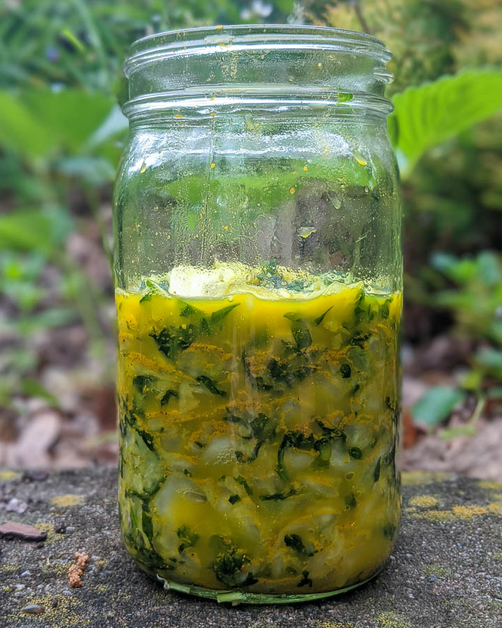 Curried Garlic 
		Mustard Sauerkraut