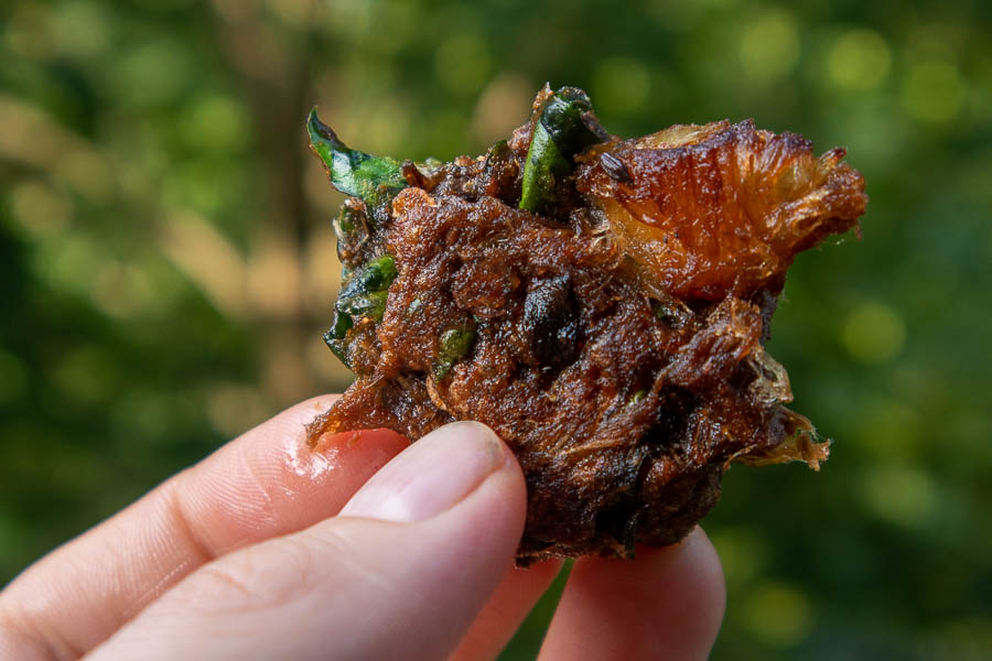 Lambsquarters and milkweed silk pakoras made with acorn flour