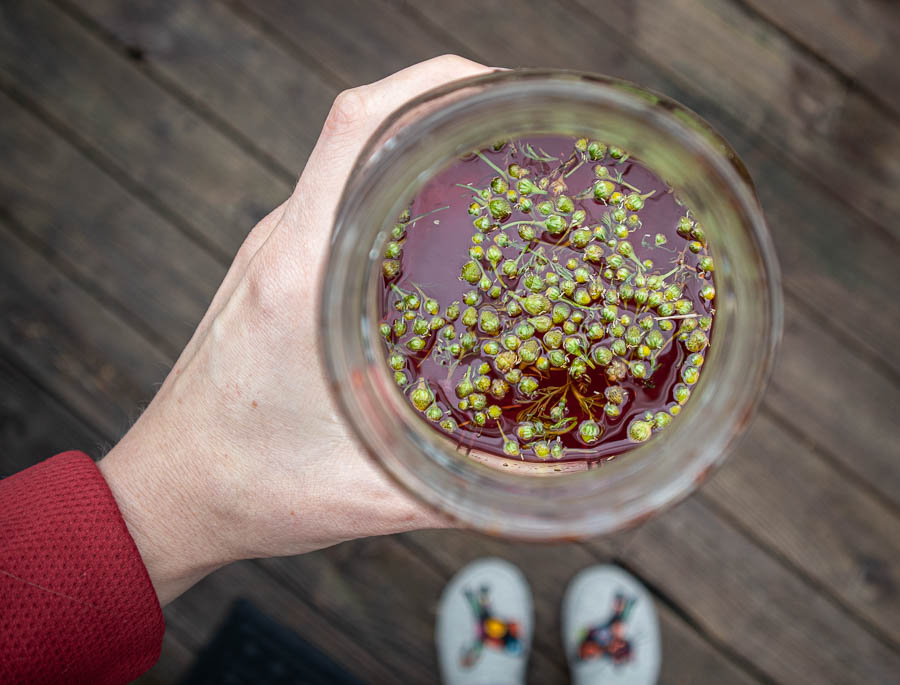 Pineapple weed floating in liqueur