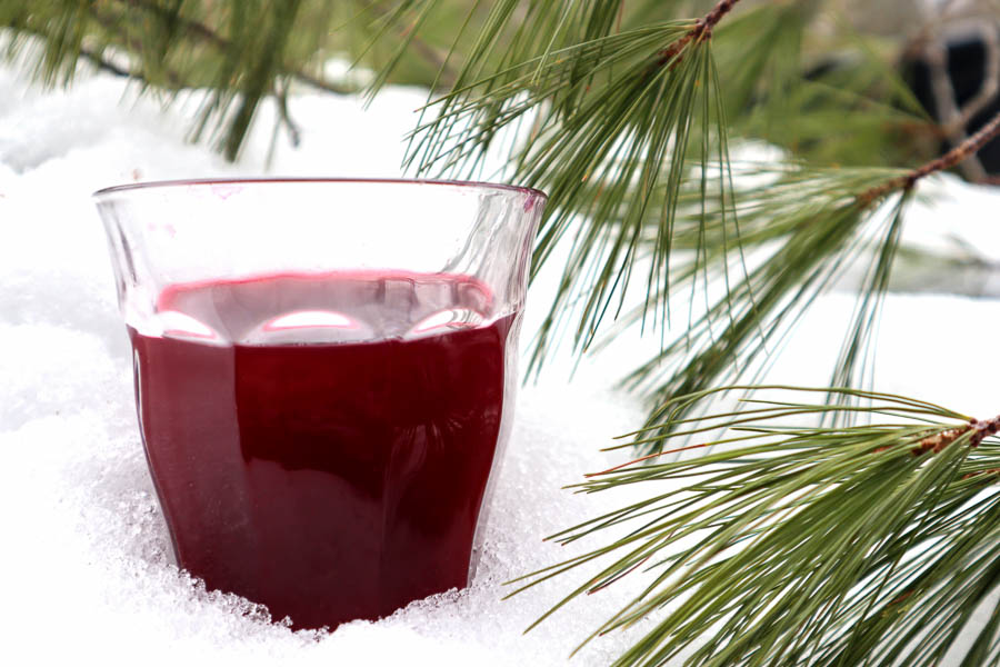 Pink pine needle tea in a snow bank