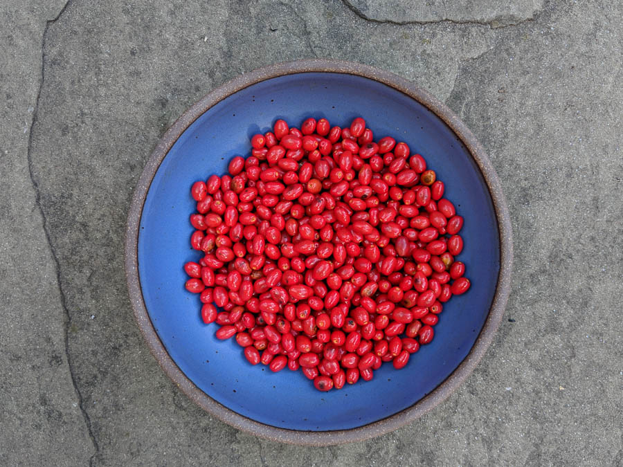 Fresh spiceberries in a bowl