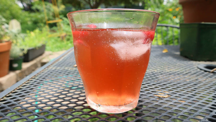 Wineberry Shirley Temple