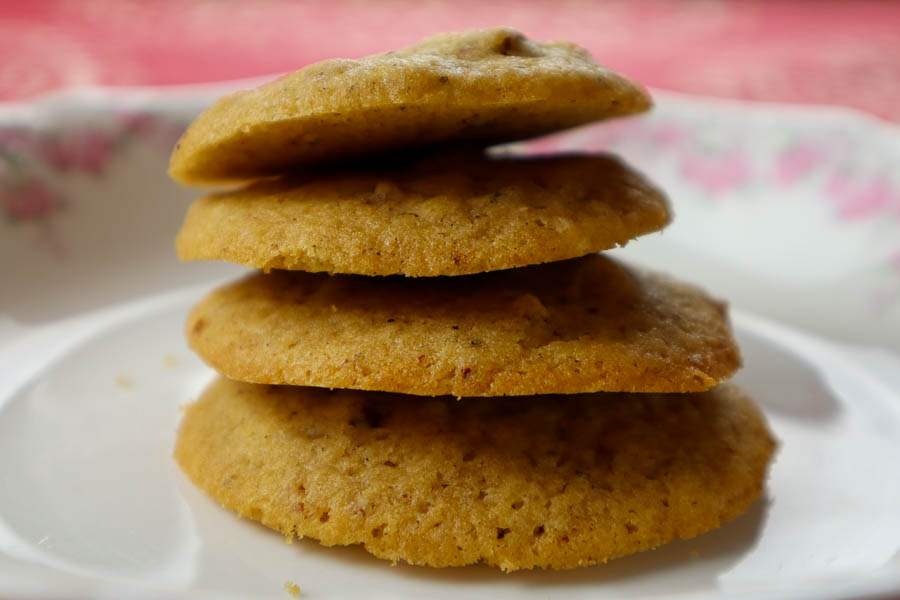 Spicebush berry - star anise cookies with pecans and a hint of maple syrup